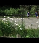 Filename=1215.JPG
Filesize=54KiB
Dimensions=1024x576
Date added=Mar 29, 2012 1215.JPG