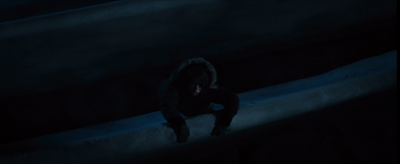 _1240.png