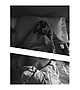Filename=_415.jpg
Filesize=99KiB
Dimensions=1080x1080
Date added=Jan 25, 2017 _415.jpg