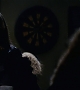Filename=34~0.jpg
Filesize=117KiB
Dimensions=1920x816
Date added=Aug 10, 2011 34~0.jpg