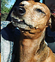 Filename=_386.PNG
Filesize=1685KiB
Dimensions=640x1136
Date added=Nov 21, 2016 _386.PNG